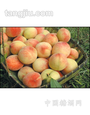 鲁顺鲜果-桃子