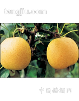 鲁顺鲜果-梨