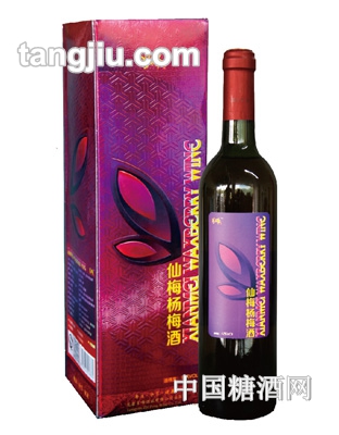 仙梅杨梅酒750ml
