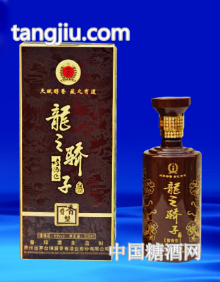 龙之骄子