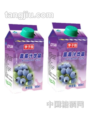 李子园蓝莓汁饮品480毫升