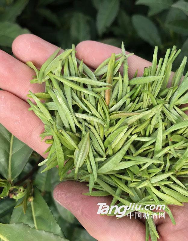 信阳毛尖茶叶