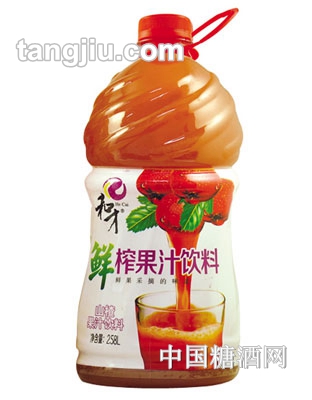 和才牌鲜榨山楂汁2580mlPET瓶