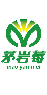 供应茅岩莓保健茶200g精装礼盒版