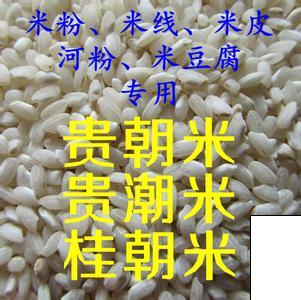 供应贵朝米 河粉米 陈米