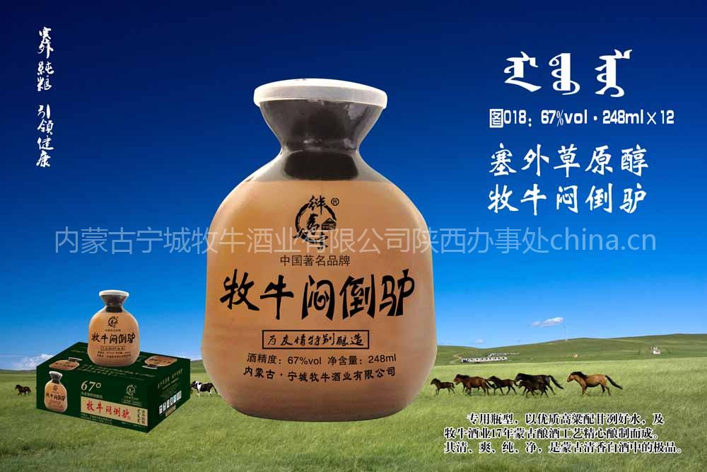 248ml*6闷倒驴67&#176; 西安总代理
