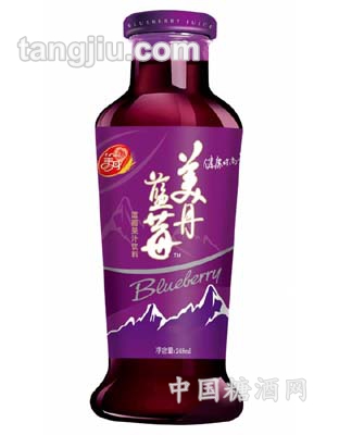 蓝莓果汁饮料248ml