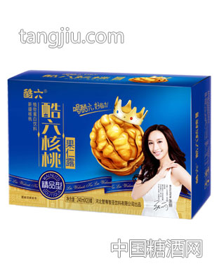 酷六核桃果仁露箱装