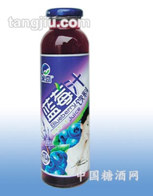 蓝莓汁15-306ml