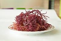 食用鹿角藻（红/绿） 盐渍200g/袋
