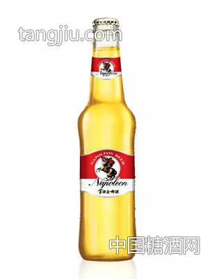 拿破仑啤酒玻璃瓶装啤酒1