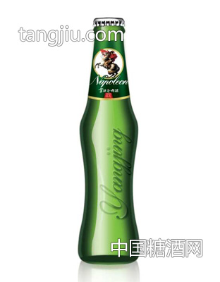 拿破仑啤酒玻璃瓶装啤酒3