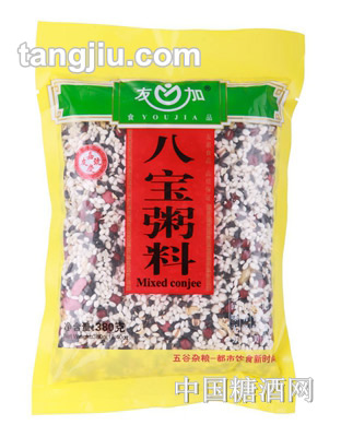 友加八宝粥380g