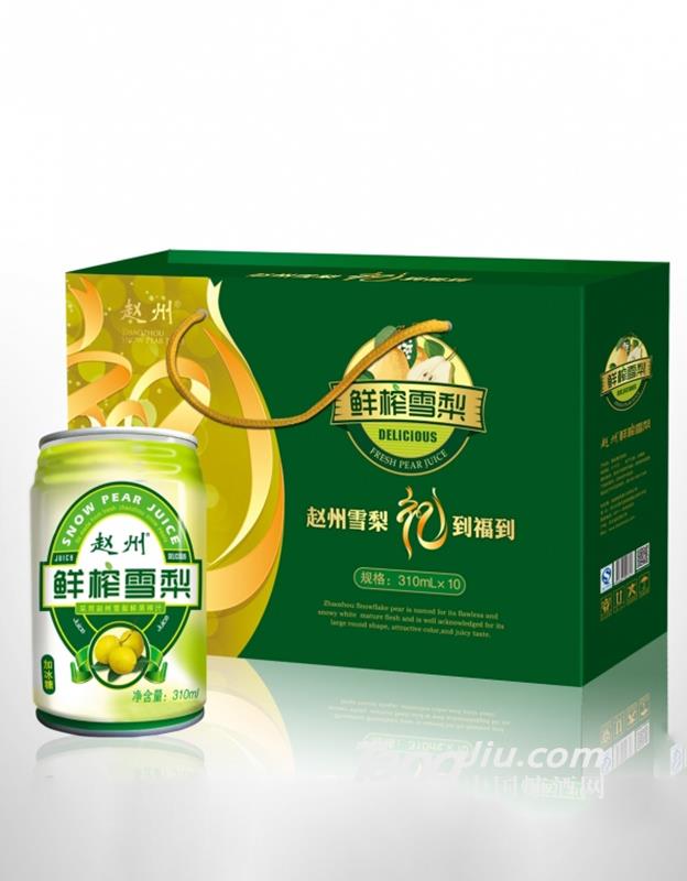 赵州 鲜榨雪梨 310ML