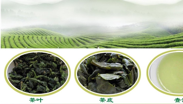 供应清香型正味三级铁观音低价批发