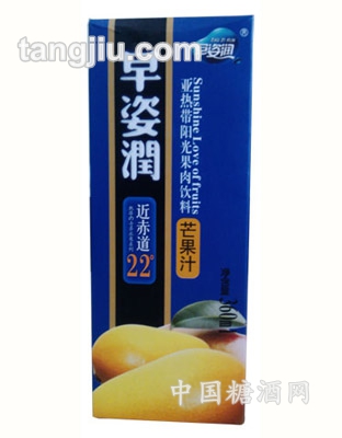 亚热带阳光果肉饮料芒果汁360ml