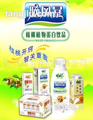 品世脑风暴-核桃植物蛋白饮品