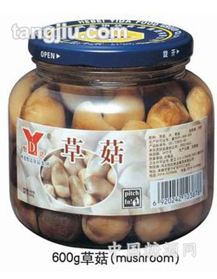 草菇罐头