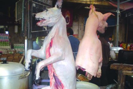 专业供应狗鞭兔前腿兔头