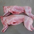供应批发兔头 兔肉