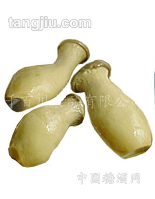 盐渍杏孢菇
