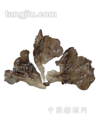 盐渍灰树花