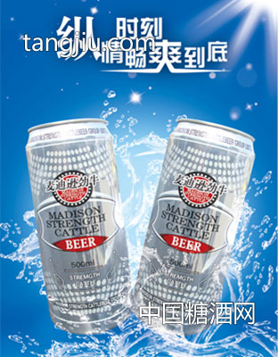 MDXJN9066-麦迪逊劲牛啤酒