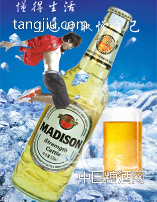 MDXJN9069-麦迪逊劲牛啤酒
