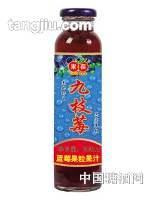 果葆蓝莓饮料-九枝莓300ml