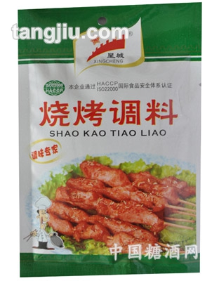 烧烤调料30g