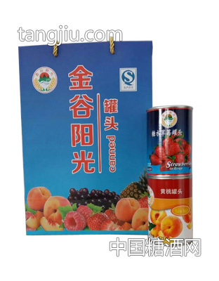 水果罐头2