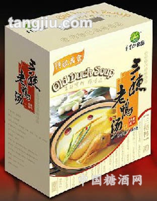 500g太子参老鸭汤礼盒装