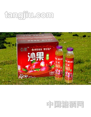 亿铭99%沙果汁礼盒