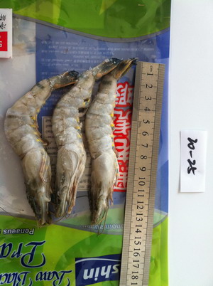 黑老虎虾，草虾，虾，竹节虾，斑节虾