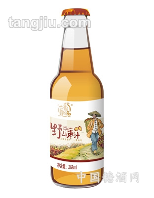 268ml一番原味野生枣汁