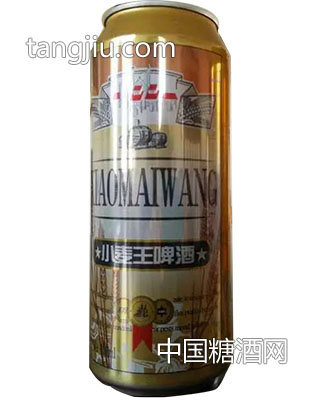 青源雪小麦王啤酒罐装