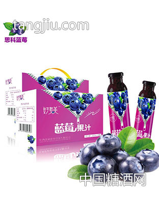 好婪美蓝莓果汁310ml