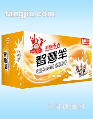 智慧羊乳饮品橘子口味500ml箱