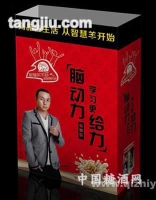 智慧羊核桃黑芝麻礼盒