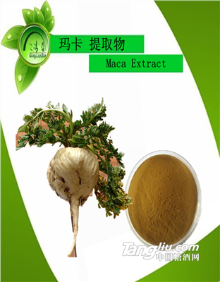 男性保健玛卡提取物