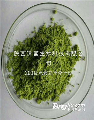 大麦若叶青汁粉