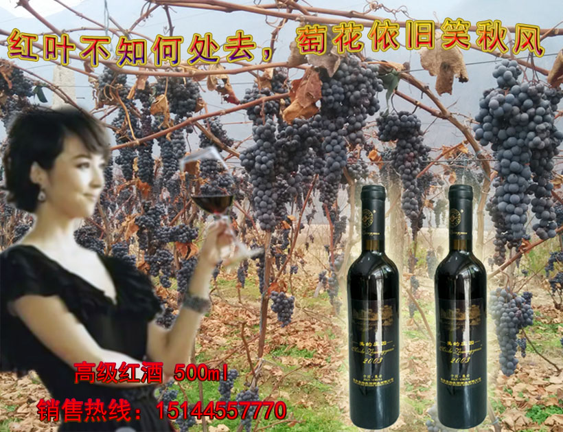 美的庄园2003冰葡萄酒