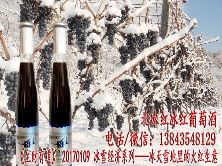 吉林冰葡萄酒 通化冰葡萄酒 东北冰葡萄酒 集安葡萄酒