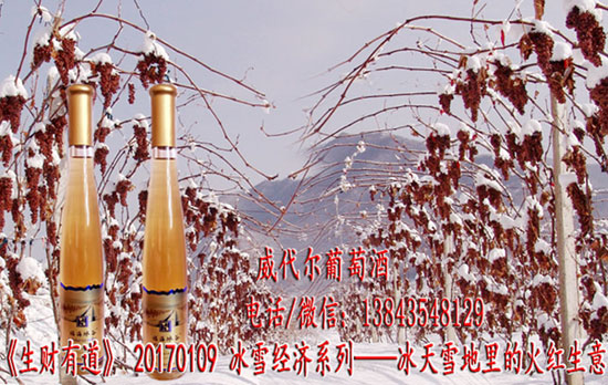 集安冰酒 鸭江河谷冰葡萄酒 威代尔冰葡萄酒