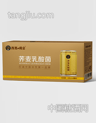 西夏褐金 苦荞麦茶乳酸菌塑包8灌装248ml