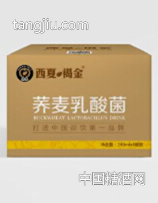 西夏褐金 苦荞麦茶乳酸菌塑包4灌装248ml