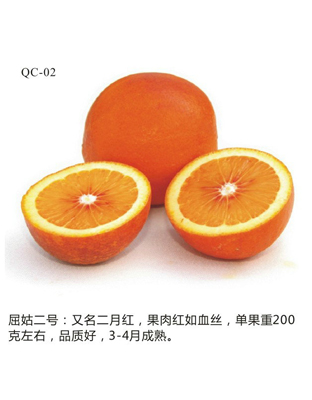 二月红