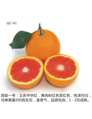 中华红