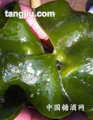 盐渍裙带菜耳朵