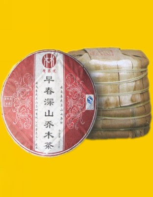 早春深山乔木茶